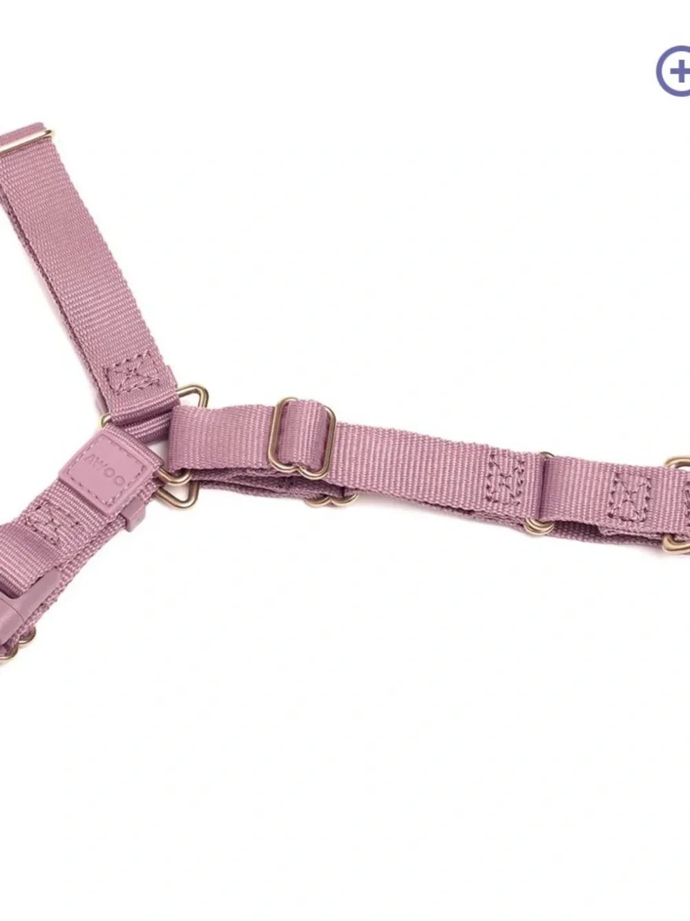 AWOO Roam Harness in Large & Infinity Leash